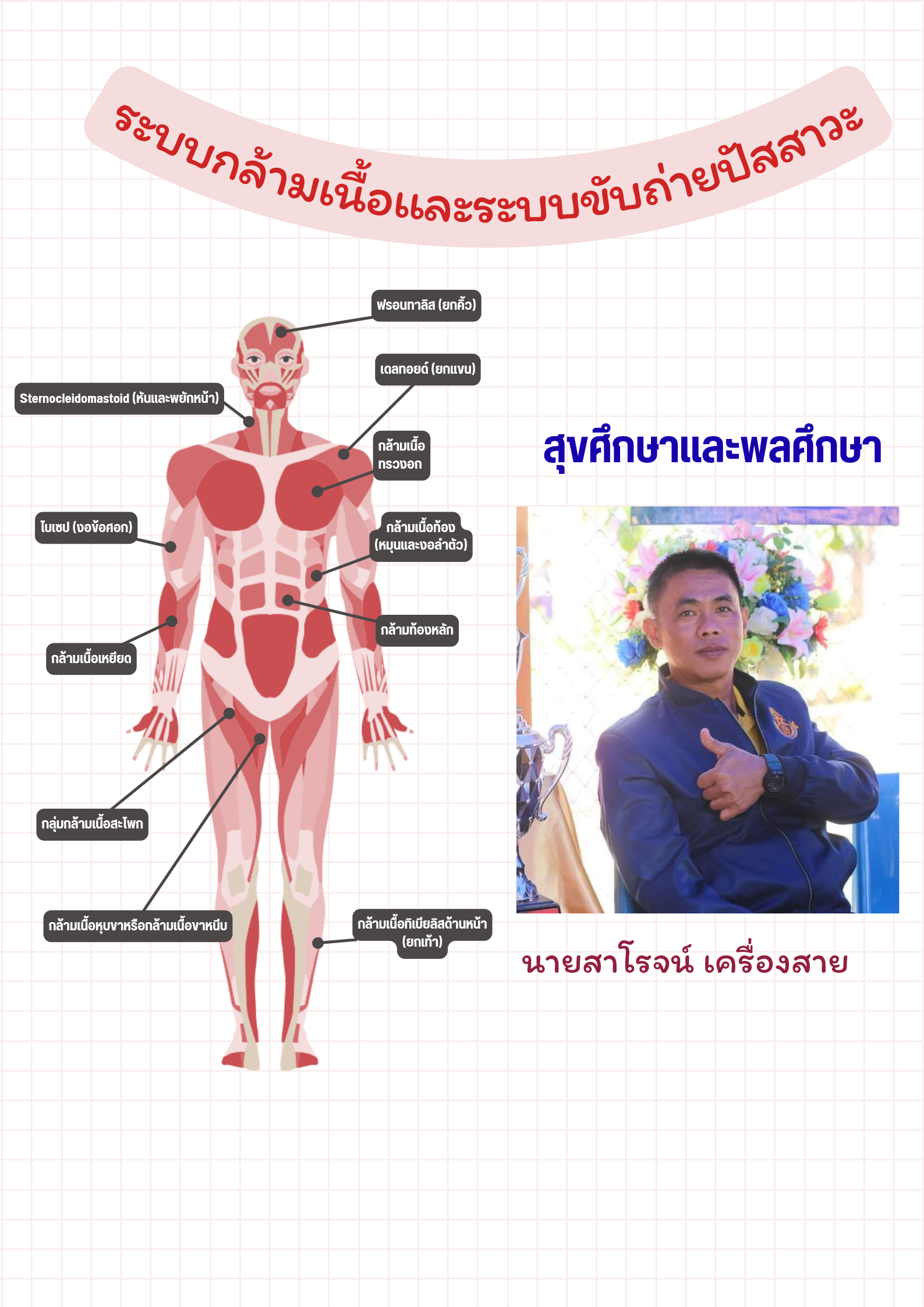 ระบบกล้ามเนื้อและระบบขับถ่ายปัสสาวะ