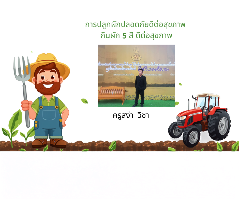การปลูกผักอินทรีย์ดีต่อสุขภาพ กินผัก 5 สี ดีต่อสุขภาพ