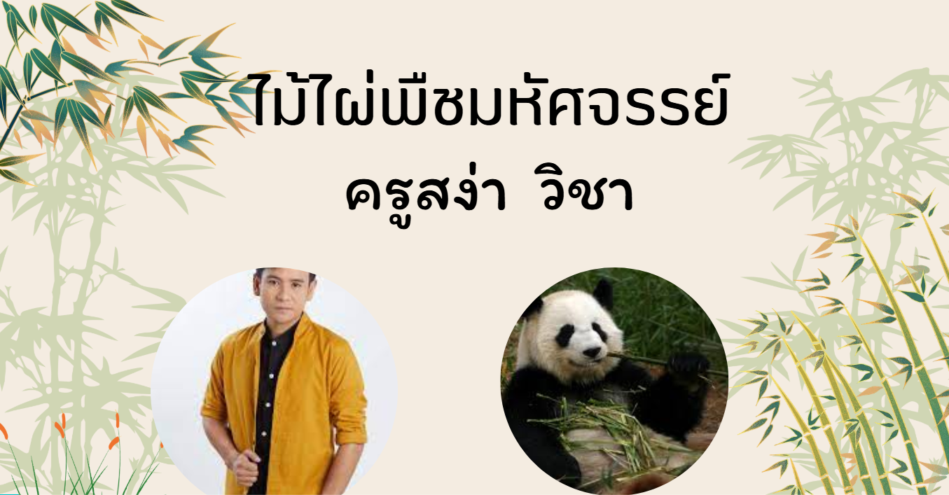 ความรู้ทั่วไปไผ่