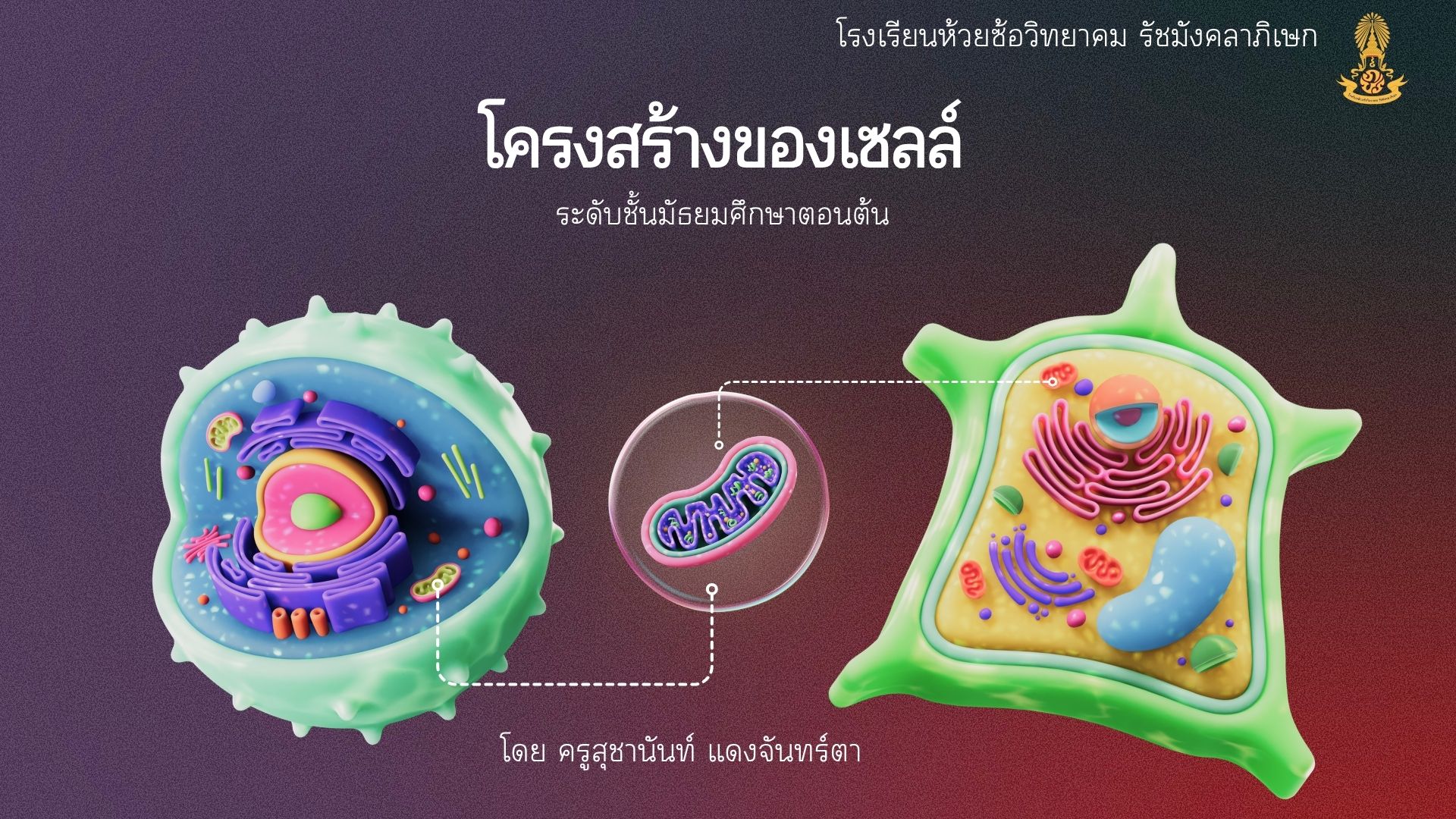 โครงสร้างเซลล์