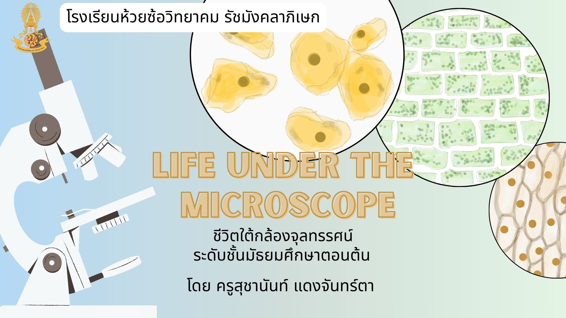 กล้องจุลทรรศน์ (Microscope)